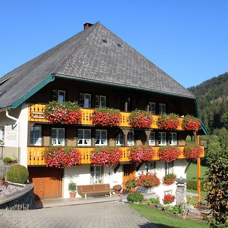Ferienwohnung Talblick Todtmoos Exterior foto