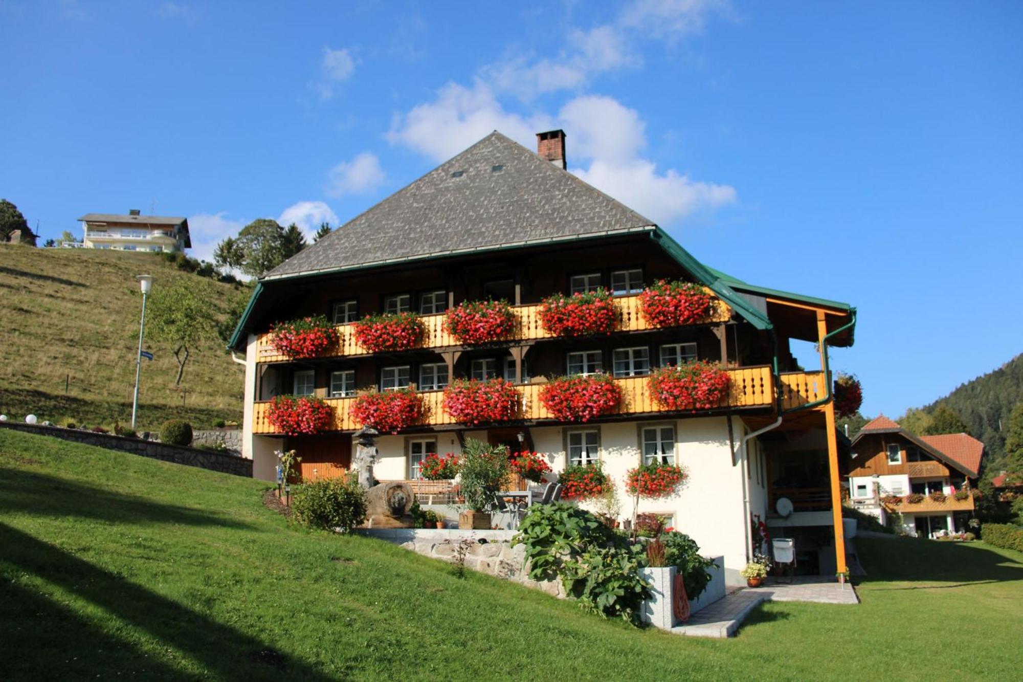 Ferienwohnung Talblick Todtmoos Exterior foto